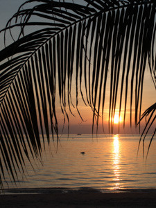 Ko Tao-025